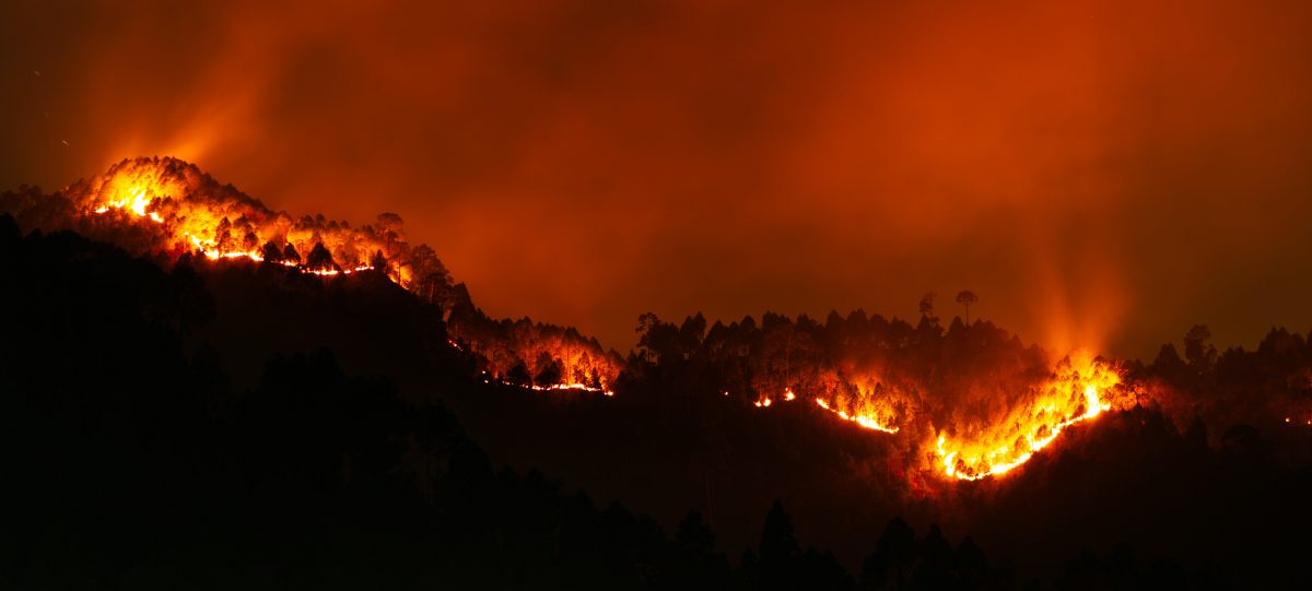 Incendi forestal