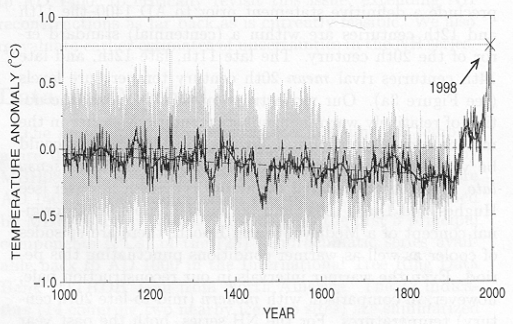 Gráfico del palo de hockey de Michael E Mann, con las temperaturas desde el año 1000