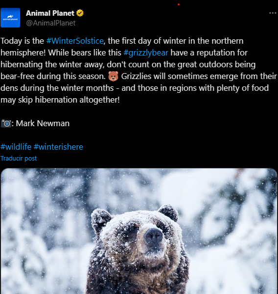 La fotografìa es una herramienta para  la comunicación científica. Ejemplo, la imagen de un oso grizzly para comunicar su comportamiento durante el invierno. Fuente: Animal Planet. Fotografo: Mark Newman