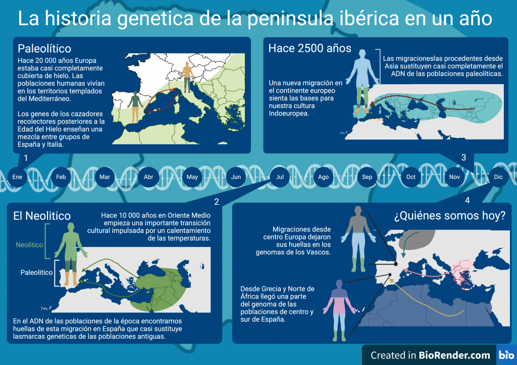 Infografia: La historia genetica de la península iberica en un año