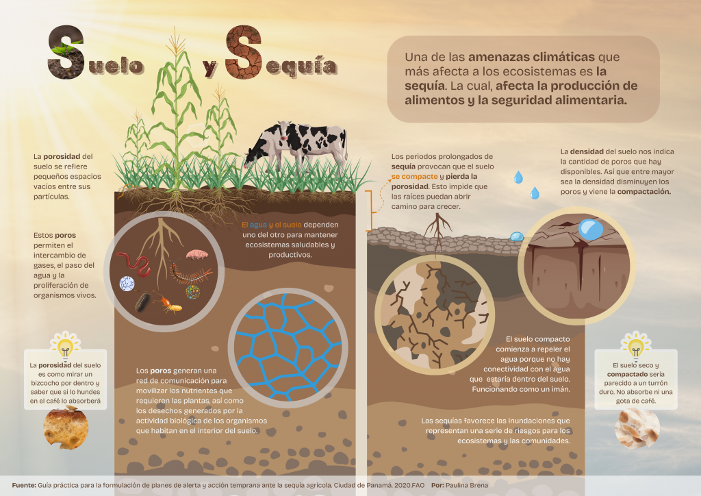 Infografía sobre los suelos y los efectos de la sequía.